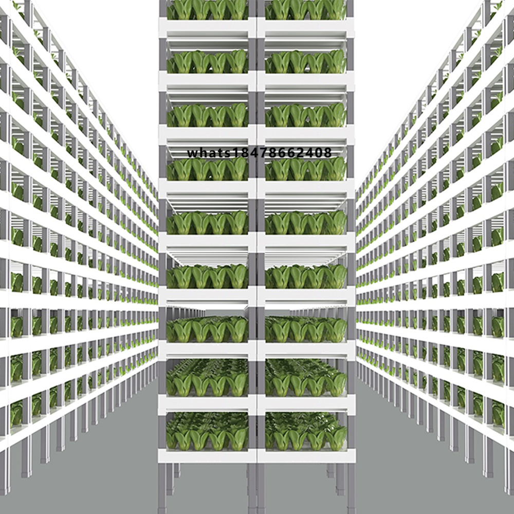 Indoor Plants - Sistema Idroponico Intelligente Controllato da App