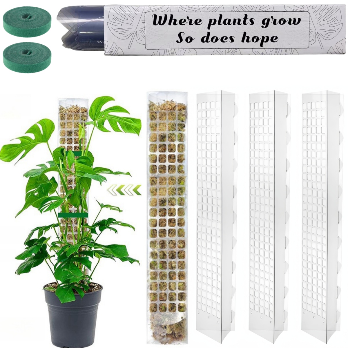 Plant Support Stake - Supporto per piante in plastica con