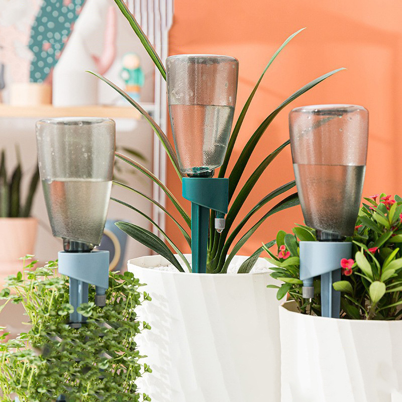 Succulent Set - Nuovo dispositivo automatico per irrigazione dei
