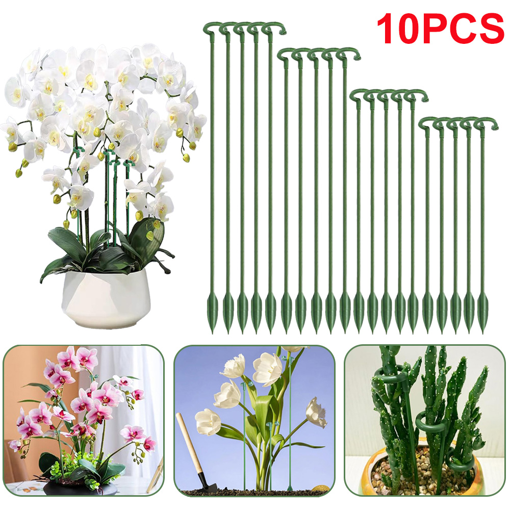 Succulent Set - 5/10 Pezzi Supporti per Piante, Supporti