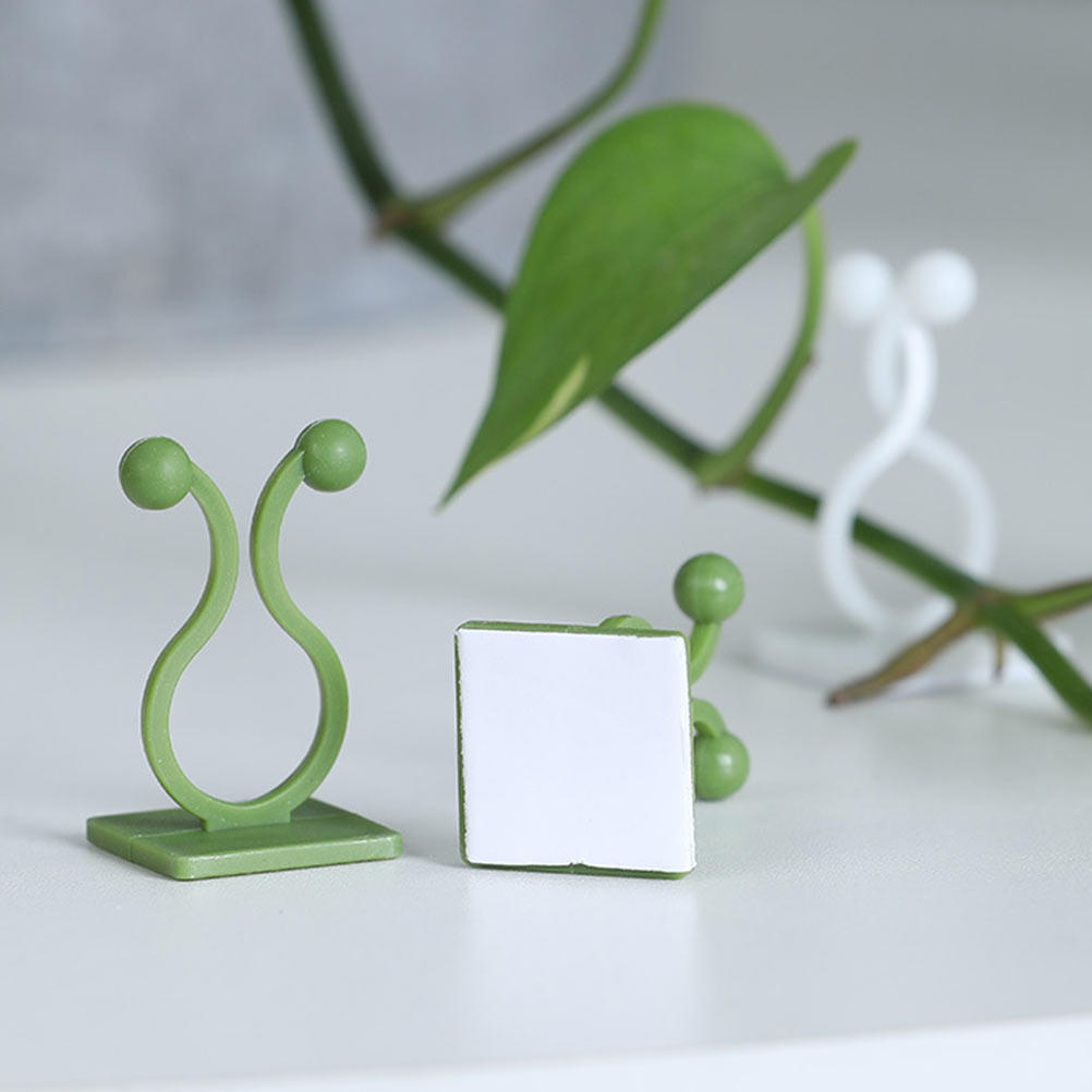 80 ganci adesivi per fissare p - Pothos recensione e prezzo