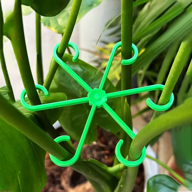 Picchetti di supporto per stel - Plant Support Stake recensione e prezzo
