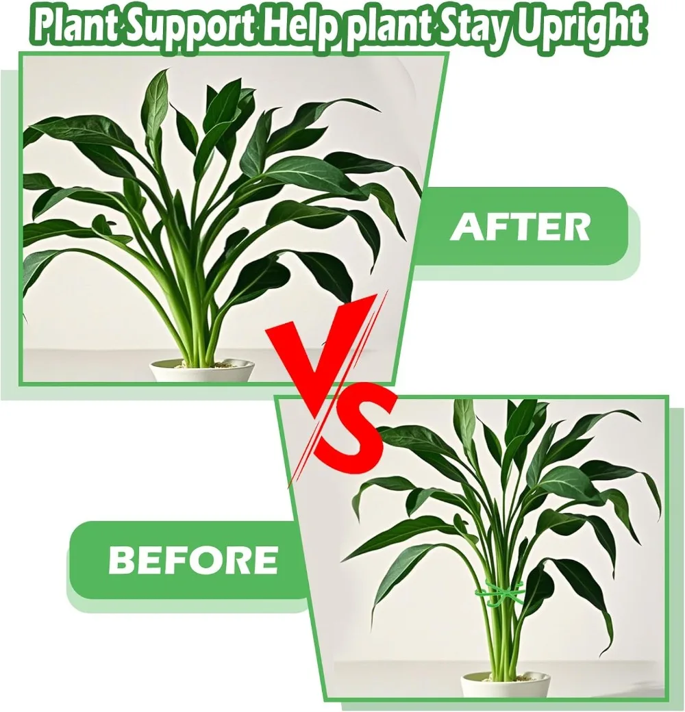 Picchetti di supporto per stel - Plant Support Stake recensione e prezzo