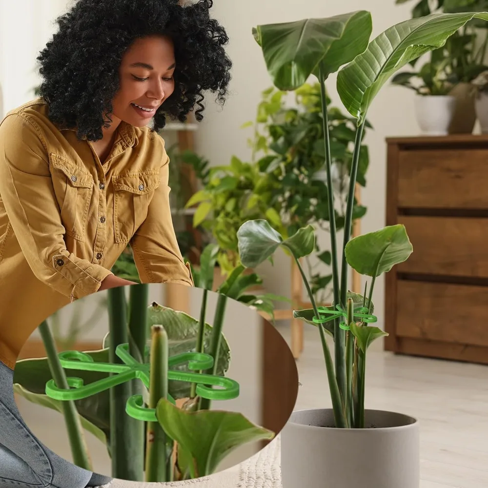 Picchetti di supporto per stel - Plant Support Stake recensione e prezzo