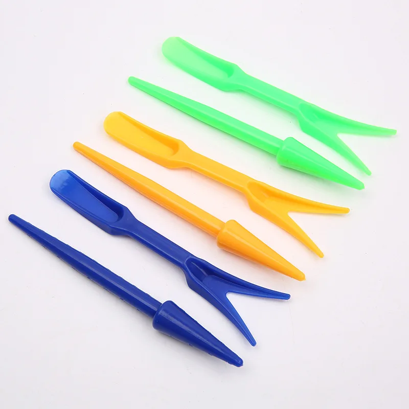 1/10 pezzi semina piante grass - Succulent Set recensione e prezzo