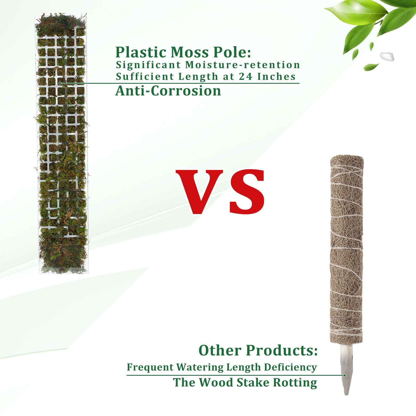 Supporto per piante in plastic - Plant Support Stake recensione e prezzo