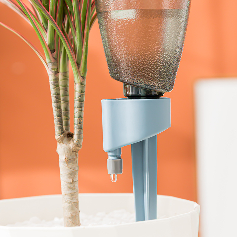Nuovo dispositivo automatico p - Succulent Set recensione e prezzo