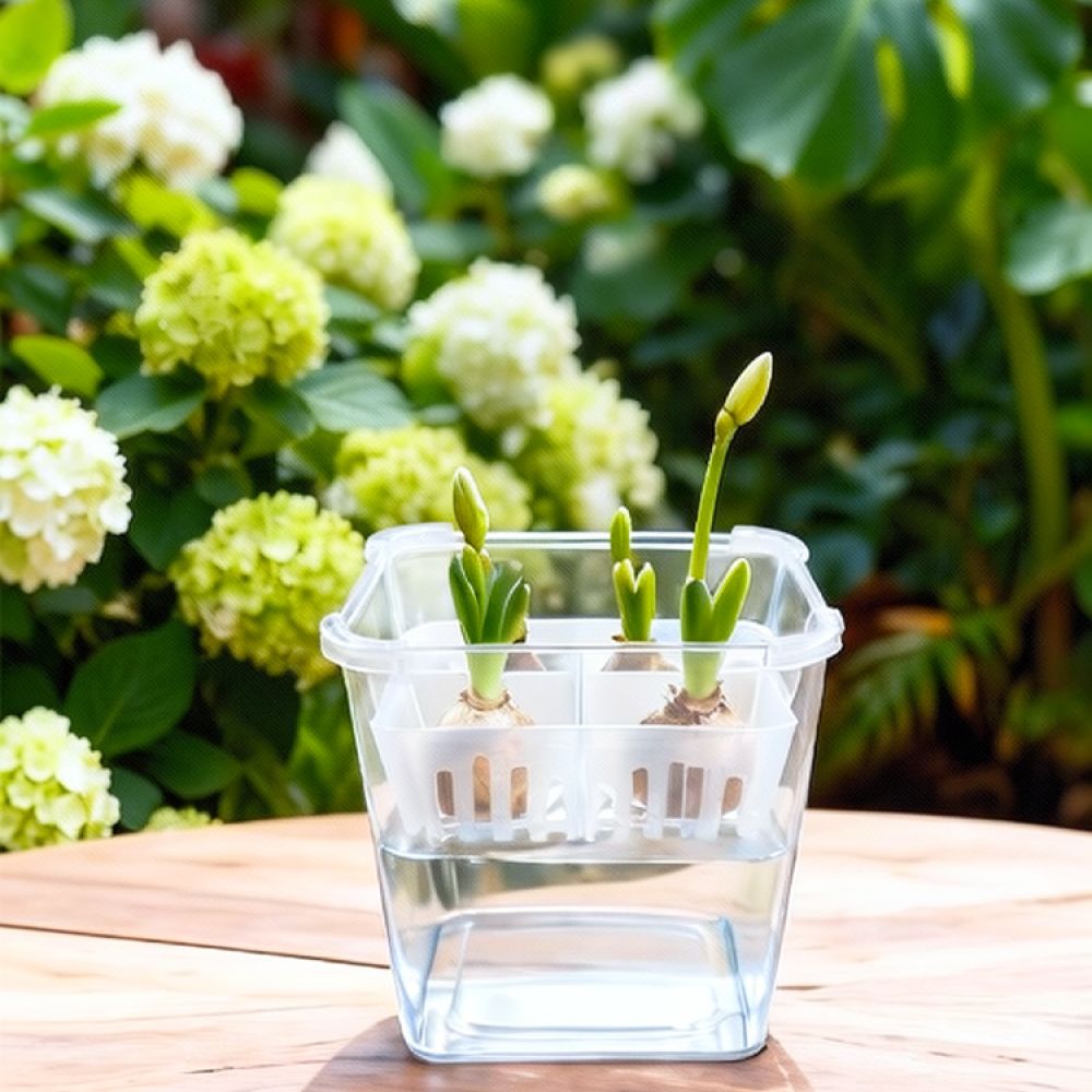 Vaso idroponico per tulipani e - Indoor Plants recensione e prezzo