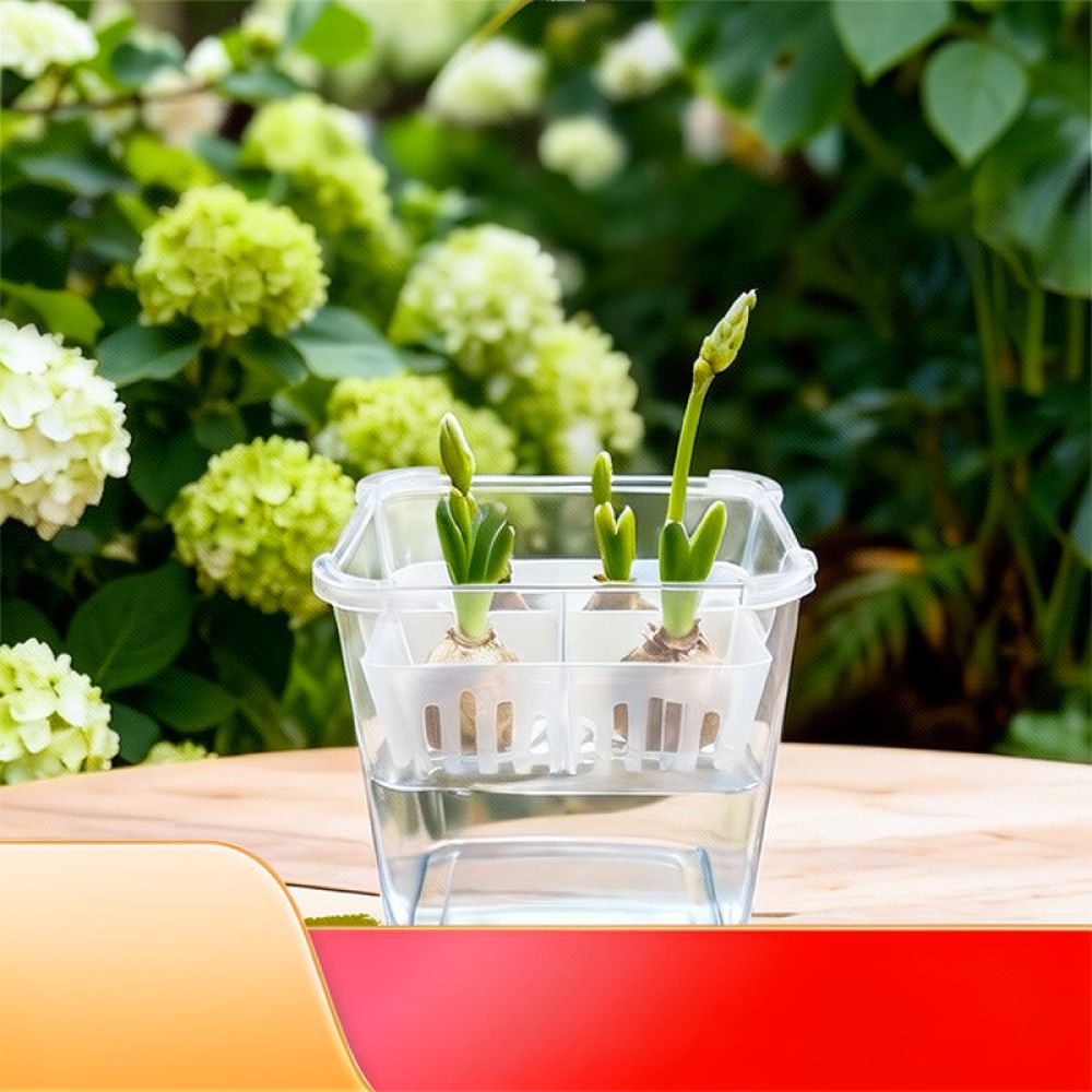 Vaso idroponico per tulipani e - Indoor Plants recensione e prezzo