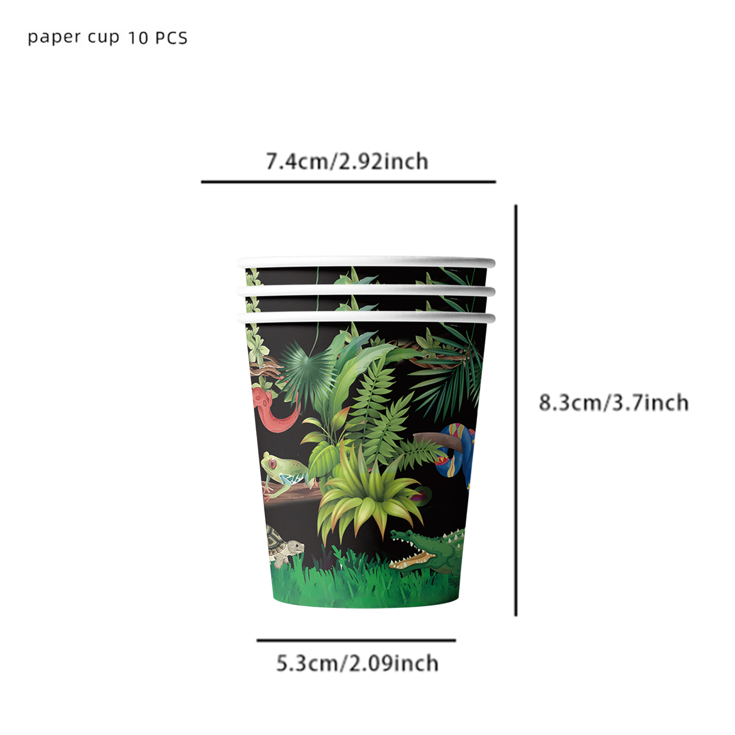 Articoli per Feste di Complean - Snake Plant recensione e prezzo