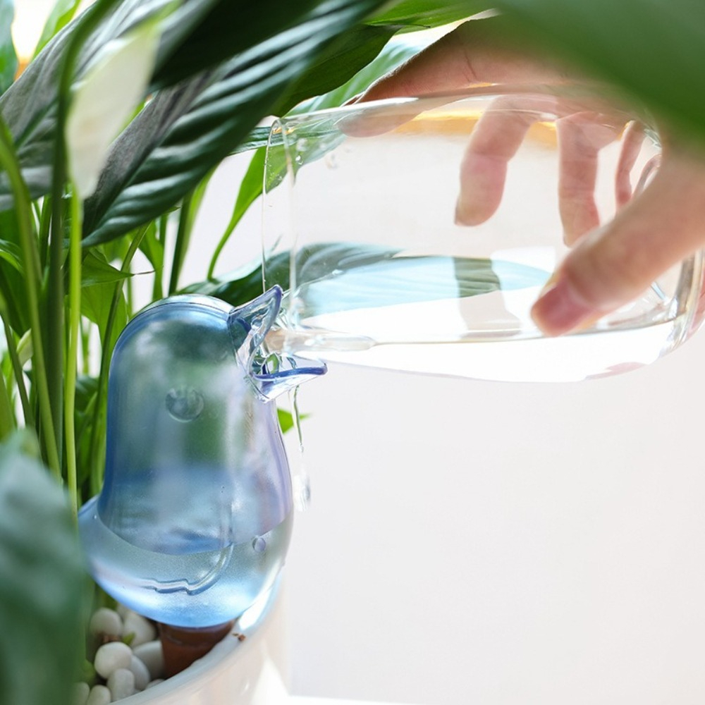 Dispositivo di irrigazione aut - Pothos recensione e prezzo