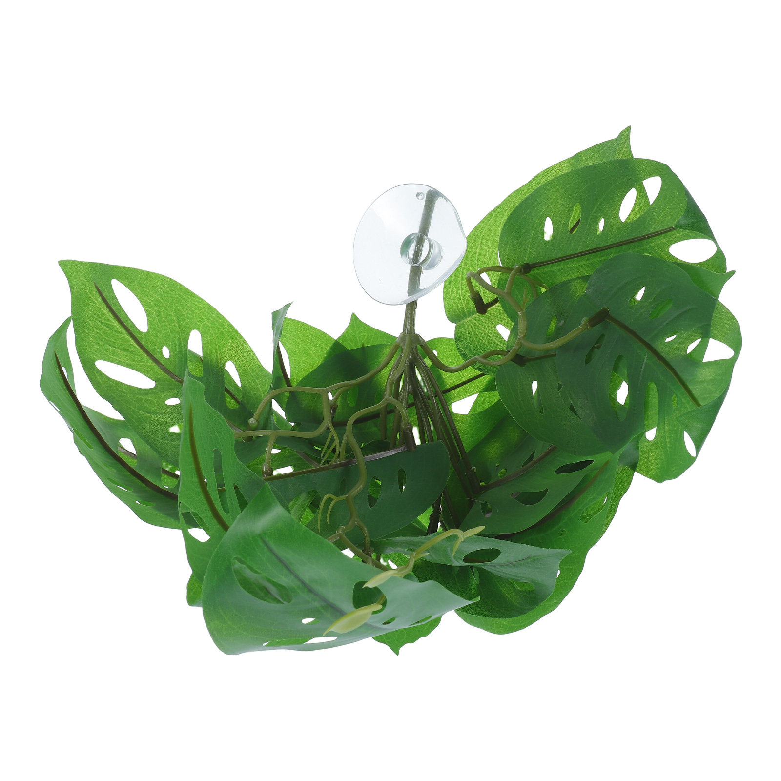 Decorazioni per habitat di ret - Snake Plant recensione e prezzo