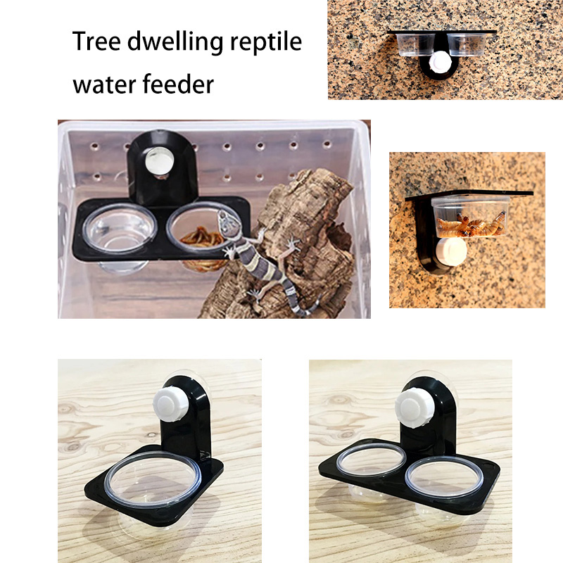 Accessori per serbatoi per ret - Snake Plant recensione e prezzo