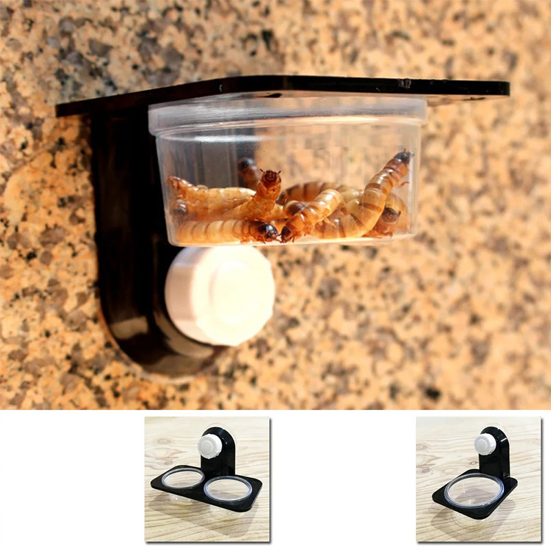 Accessori per serbatoi per ret - Snake Plant recensione e prezzo