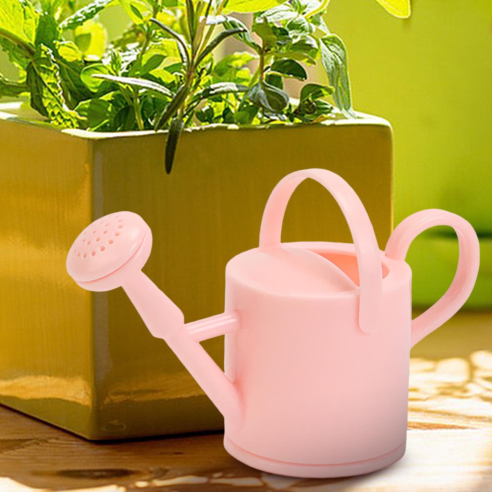Piccolo annaffiatoio per bambi - Succulent Set recensione e prezzo