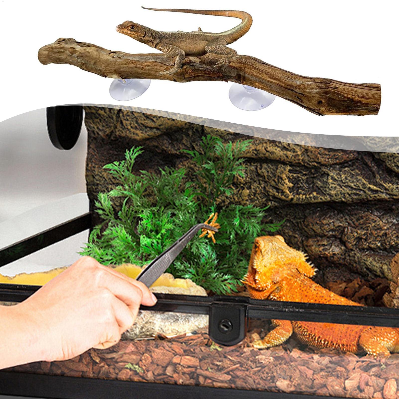 Ramo d'Albero in Legno per Ret - Snake Plant recensione e prezzo