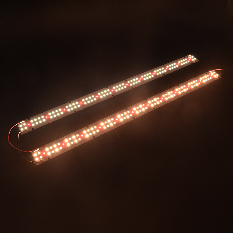 Lampada LED COB per Coltivazio - Indoor Plants recensione e prezzo