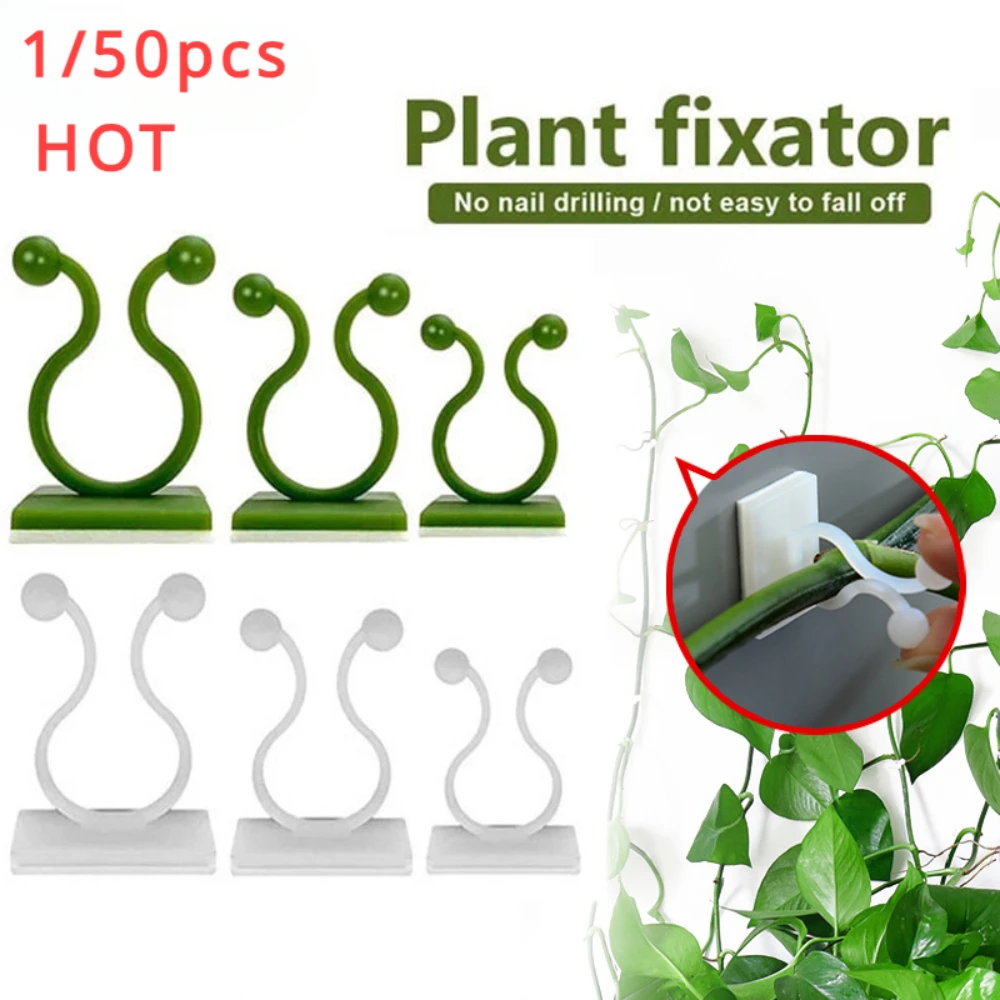 1/30/50 pezzi per accessori da - Plant Support Stake recensione e prezzo