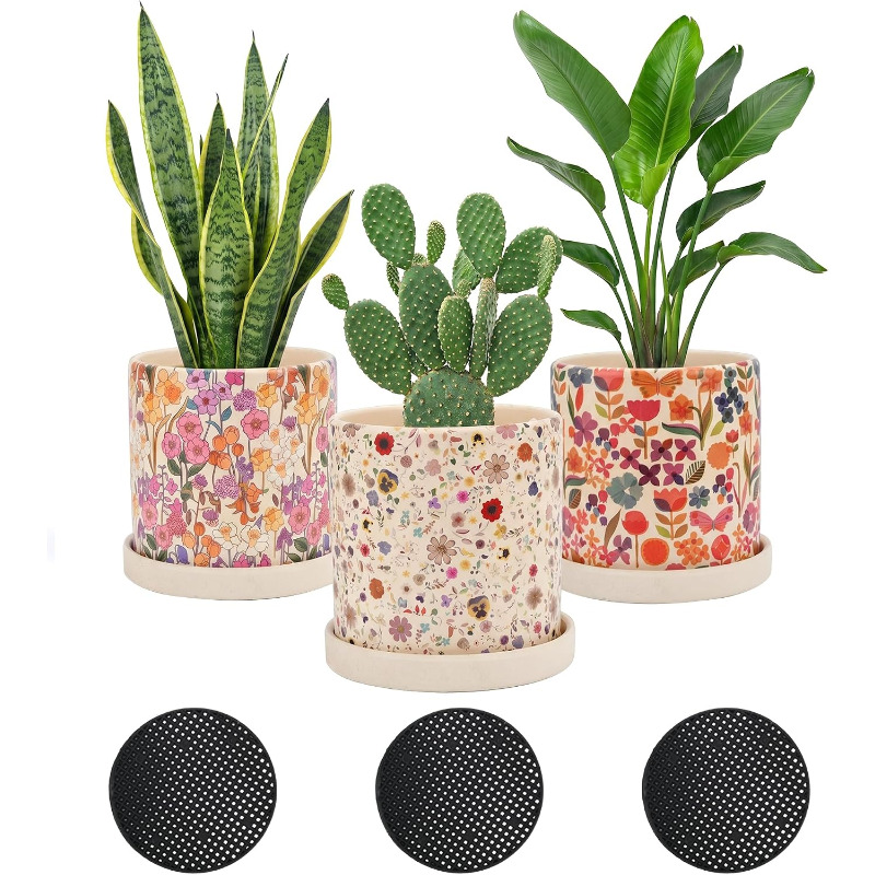 3 vasi in ceramica con decoraz - Snake Plant Ceramic recensione e prezzo