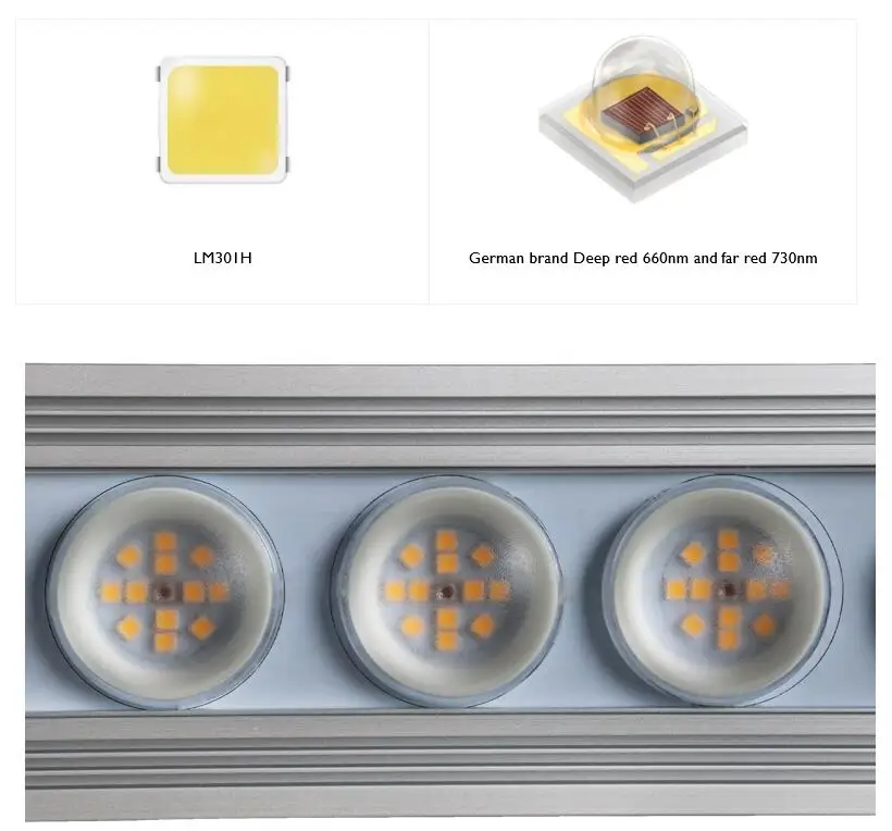 Luce LED per Piante Koray 900W - Indoor Plants recensione e prezzo