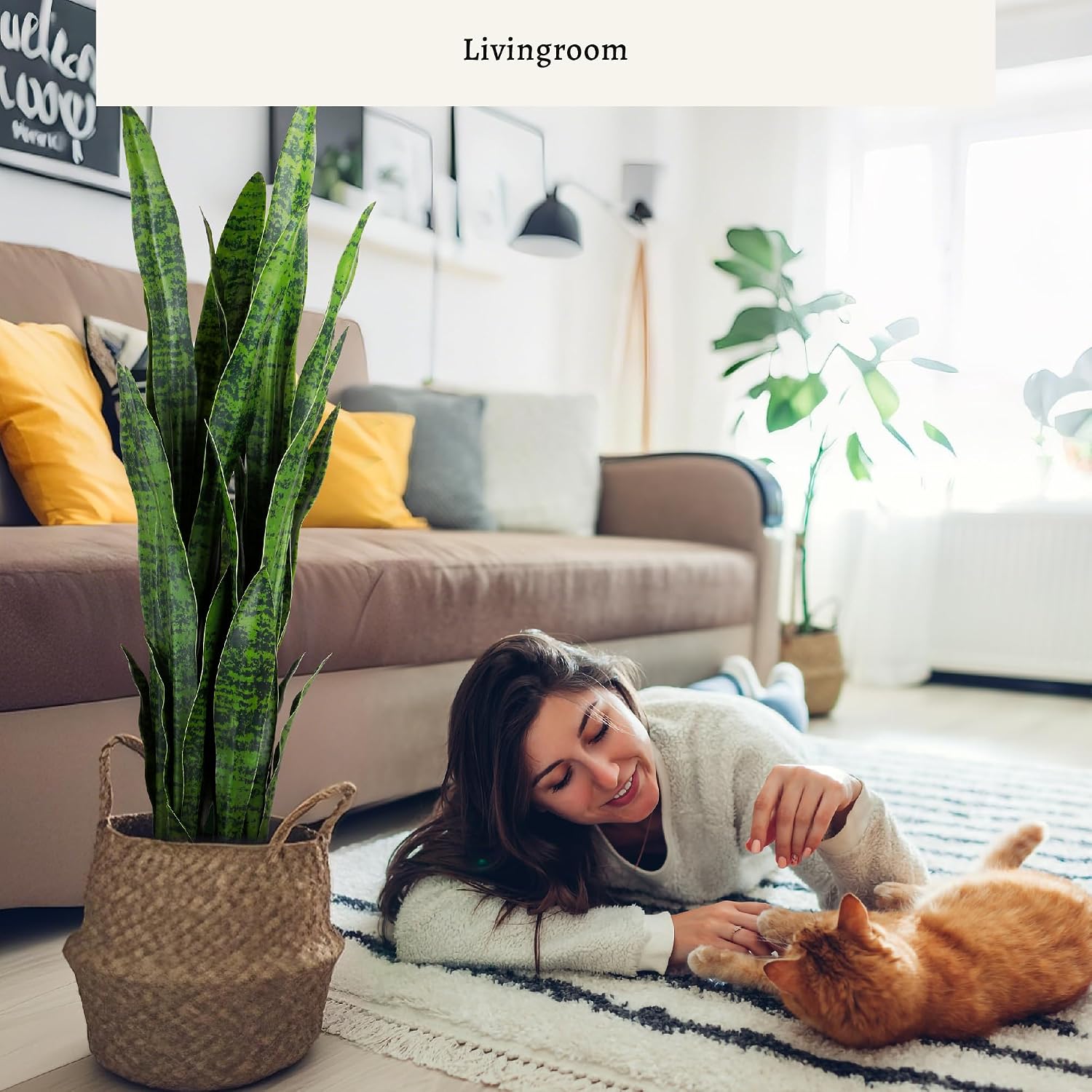 Pianta artificiale a forma di  - Snake Plant recensione e prezzo