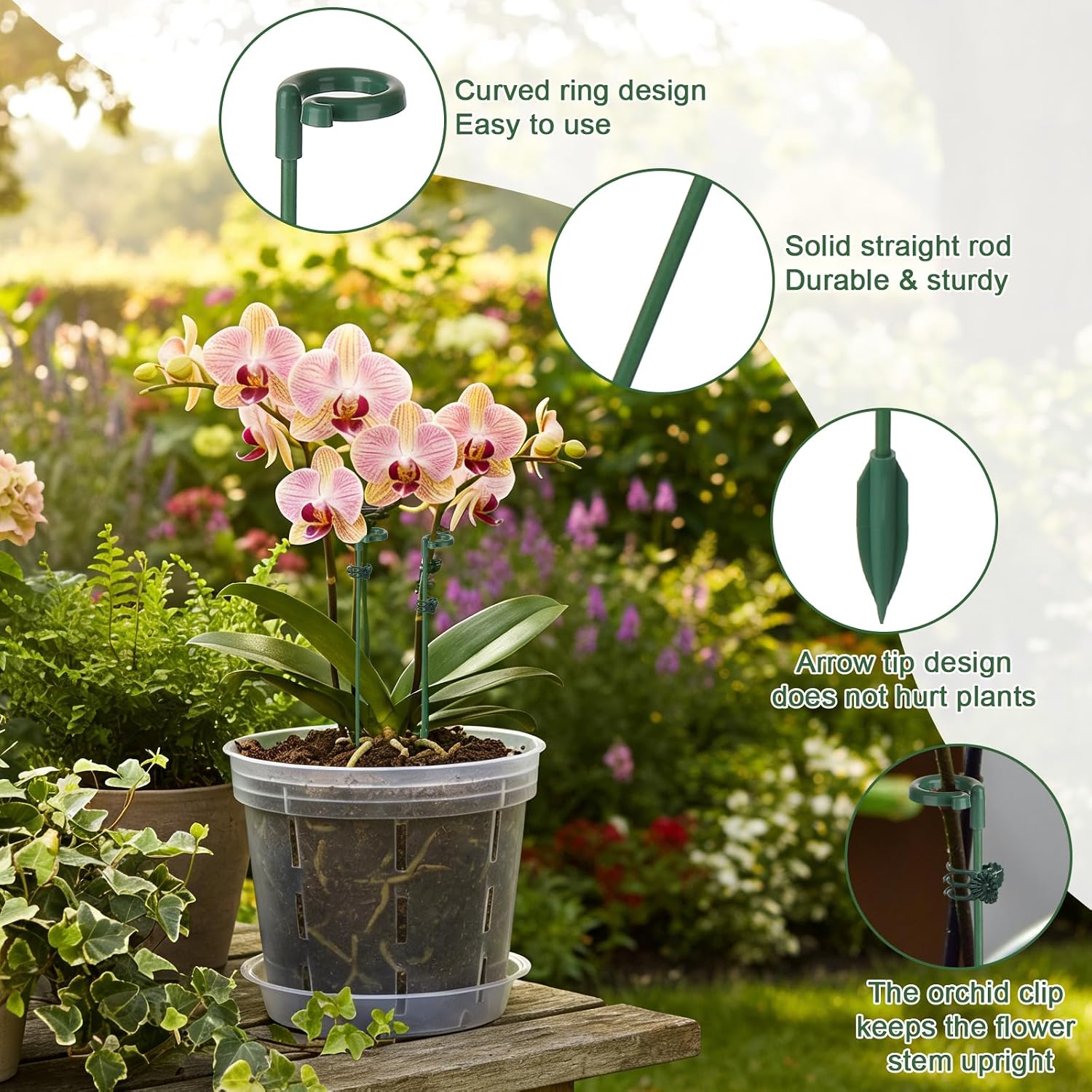 5/10 Pezzi Supporti per Piante - Succulent Set recensione e prezzo