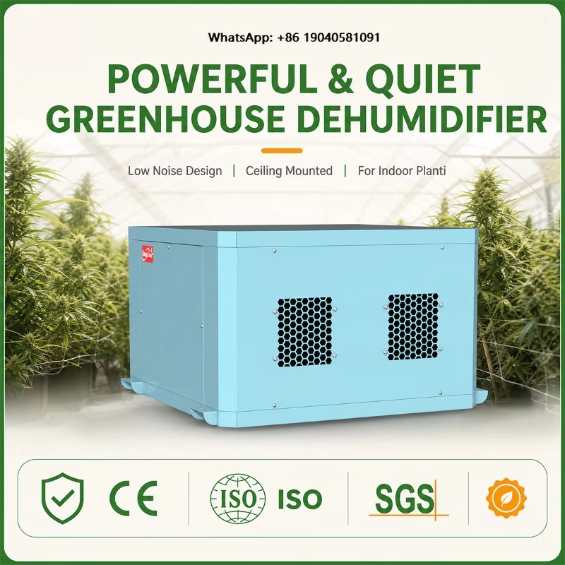 Potente deumidificatore per se - Indoor Plants recensione e prezzo