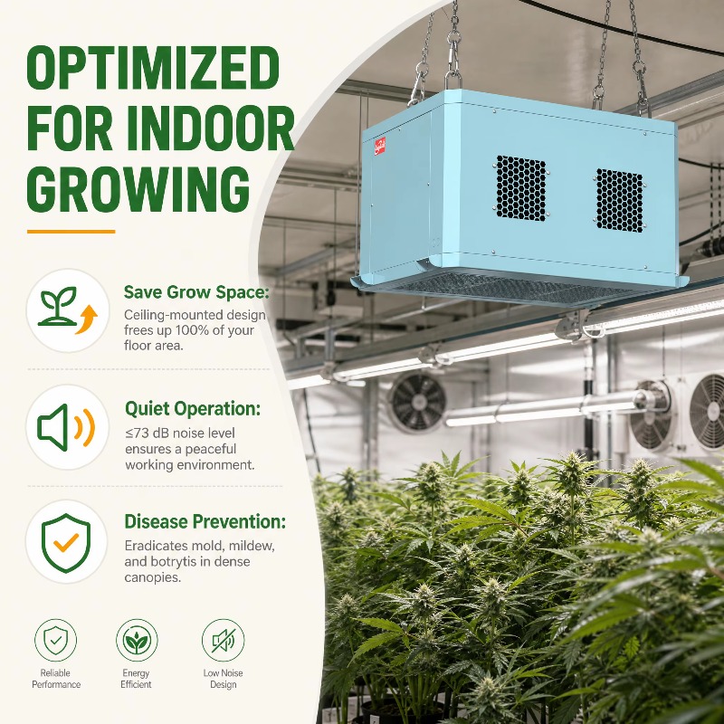 Potente deumidificatore per se - Indoor Plants recensione e prezzo